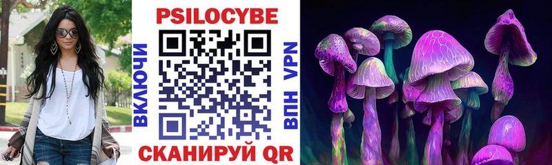 Псилоцибиновые грибы Cubensis  Тверь 