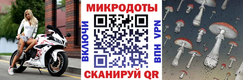 Псилоцибиновые грибы GOLDEN TEACHER Тверь
